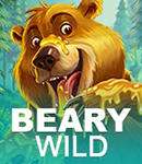 Beary Wild game