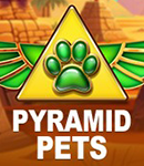 Pyramid Pets game