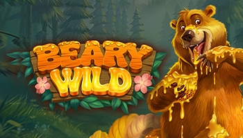 Beary Wild game